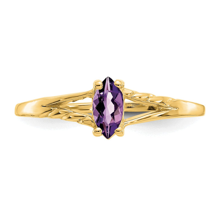 14k Yellow Gold Polished Amethyst Birthstone Ring