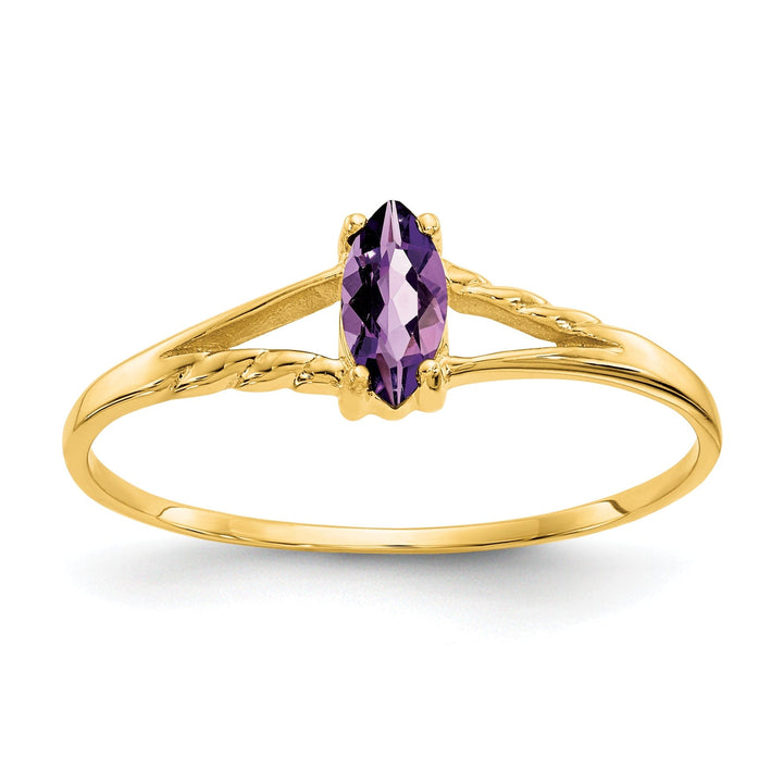 14k Yellow Gold Polished Amethyst Birthstone Ring