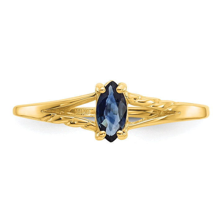 14k Yellow Gold Polished Sapphire Birthstone Ring