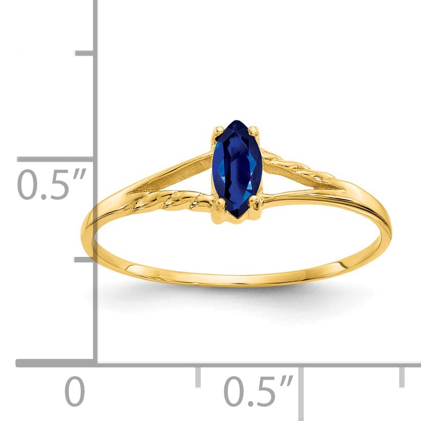 14k Yellow Gold Polished Sapphire Birthstone Ring