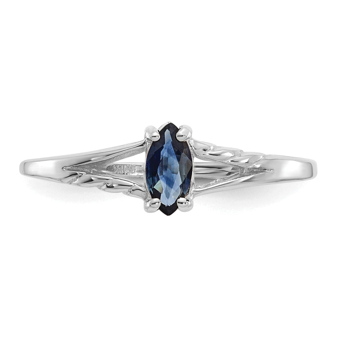 14k White Gold Polished Sapphire Birthstone Ring