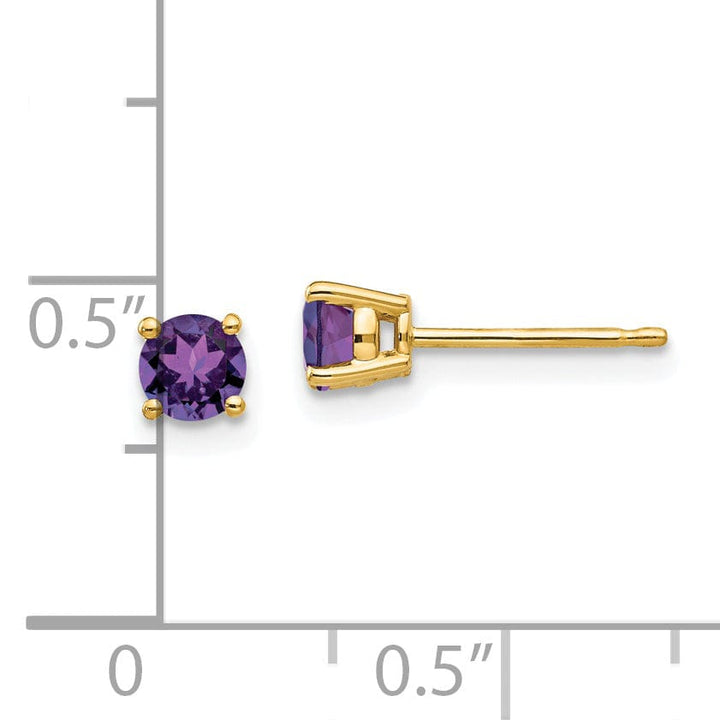 14k Yellow Gold Amethyst Earring