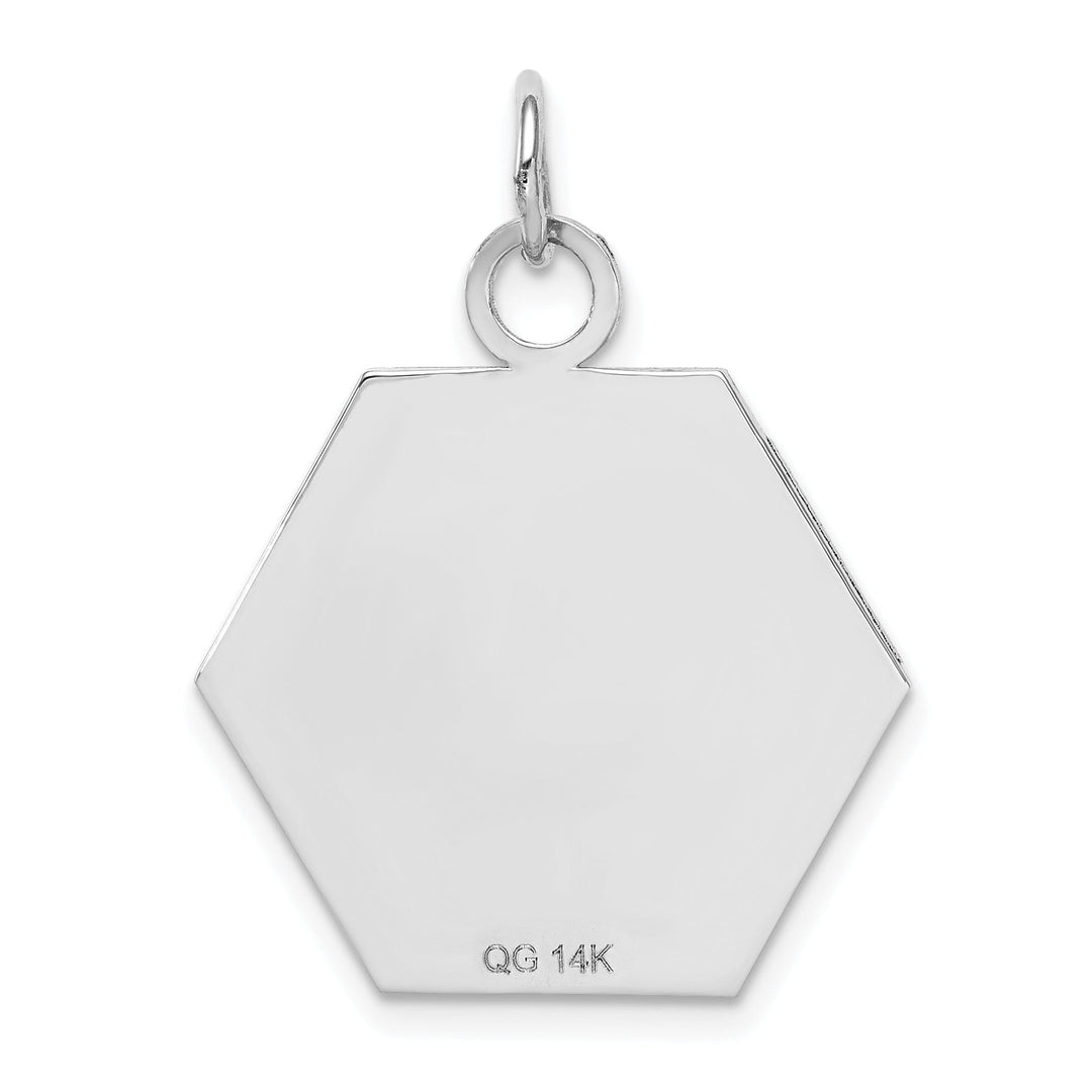 14k White Gold Medical Alert ID Charm Pendants