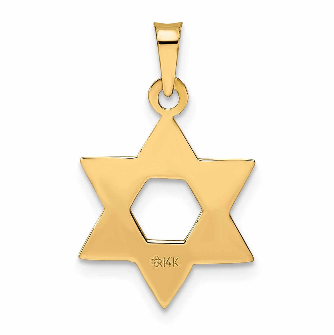 14K Rose Gold Polished Finish Solid Unisex Star of David Pendant