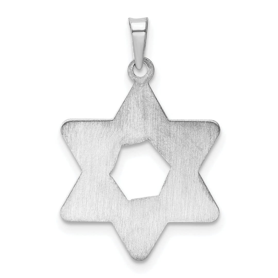 14K White Gold Polished Texture Finish Unisex Star Of David Pendant