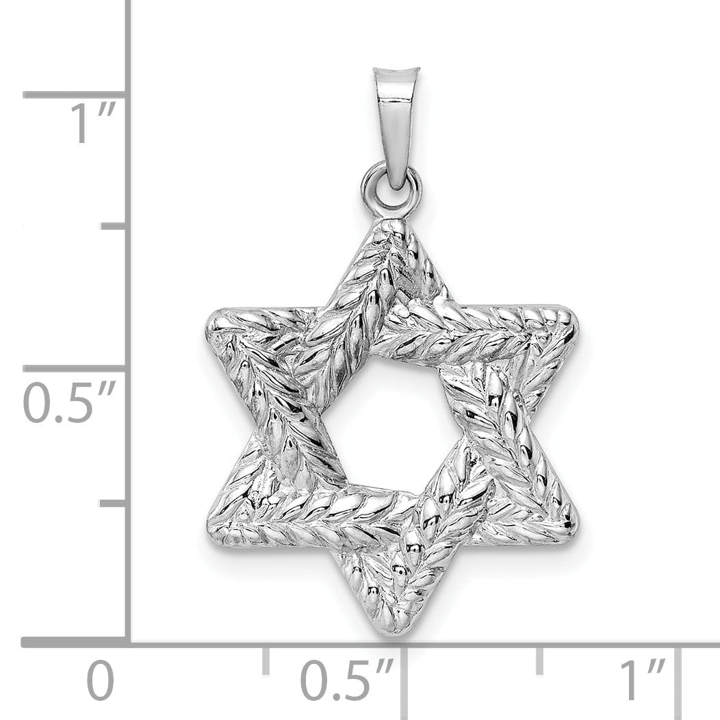 14K White Gold Polished Texture Finish Unisex Star Of David Pendant