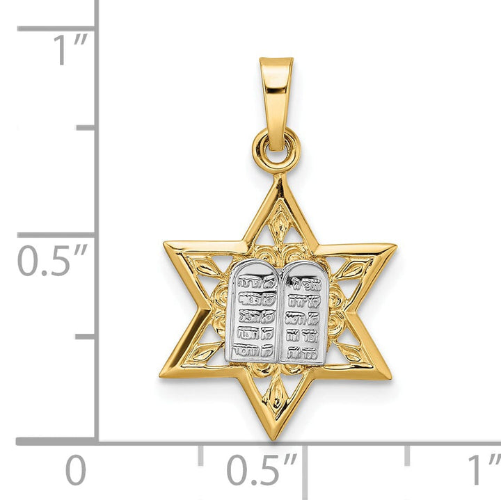 14k Yellow Gold Polished Unisex Star of David with Torah Charm Pendant