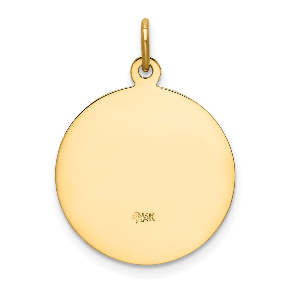 14k Yellow Gold Our Lady of San Juan Medal